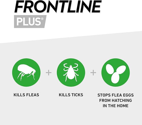 FRONTLINE Plus Flea & Tick Treatment for Cats & Ferrets – 6 Pipettes | Kills Fleas, Ticks & Stops Flea Eggs