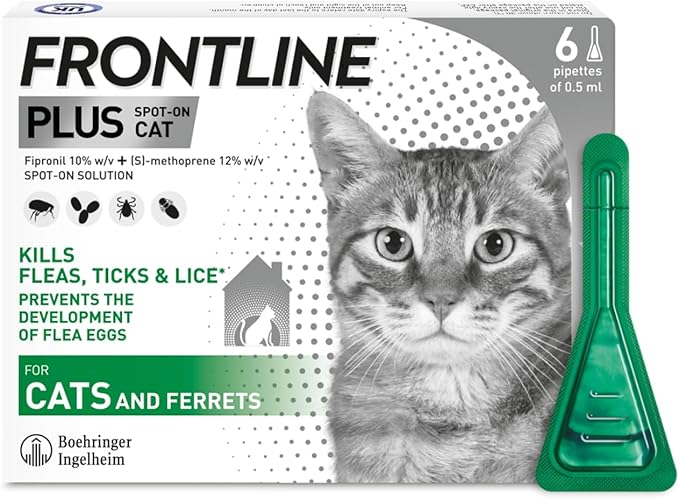 FRONTLINE Plus Flea & Tick Treatment for Cats & Ferrets – 6 Pipettes | Kills Fleas, Ticks & Stops Flea Eggs