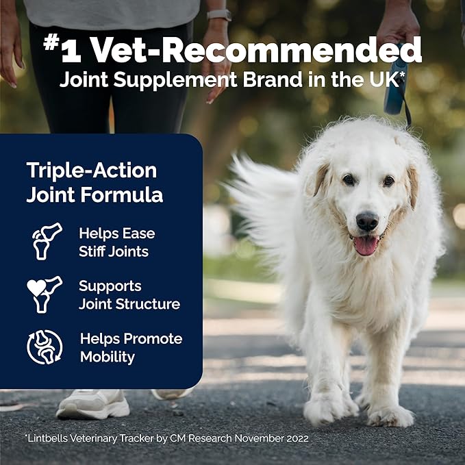 YuMOVE Senior Dog Joint Supplement 240 Tablets – Hip & Joint Support for Dogs Age 8+